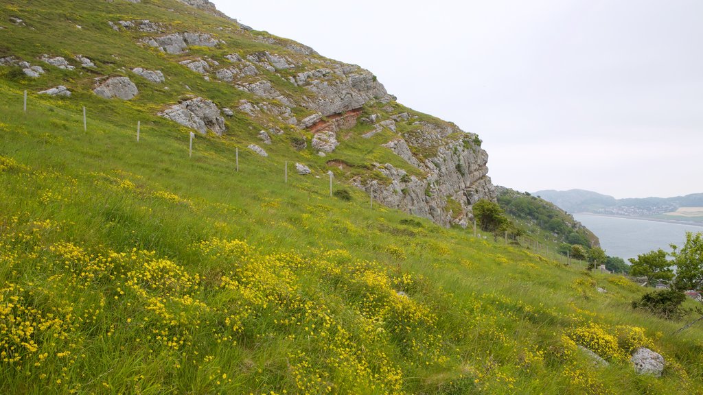 Great Orme showing farmland