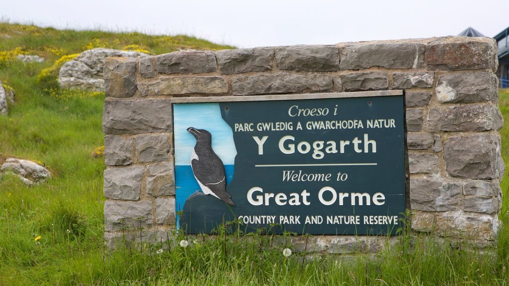 Great Orme featuring signage