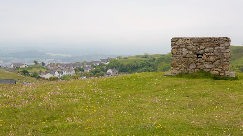 Great Orme showing farmland