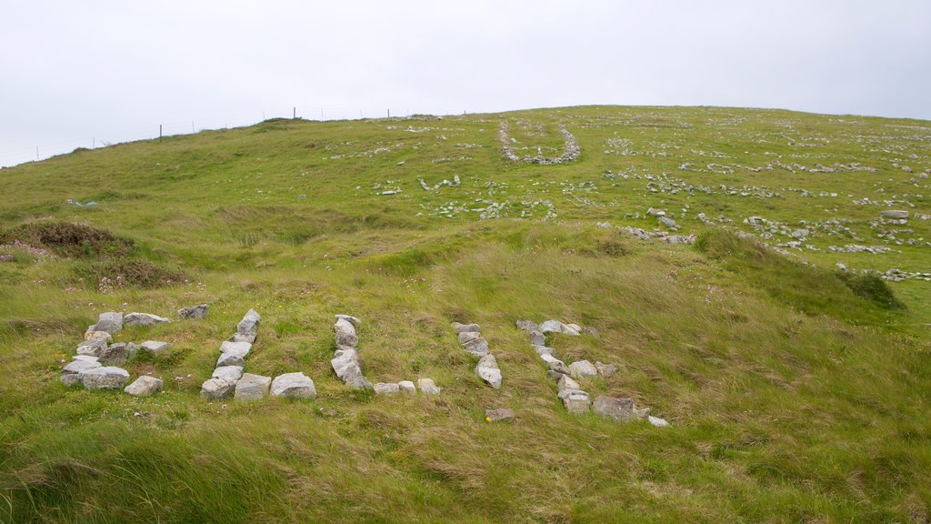 Great Orme showing farmland and outdoor art