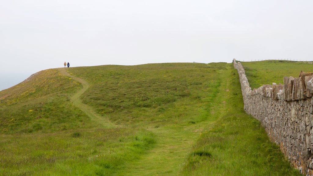 Great Orme showing farmland