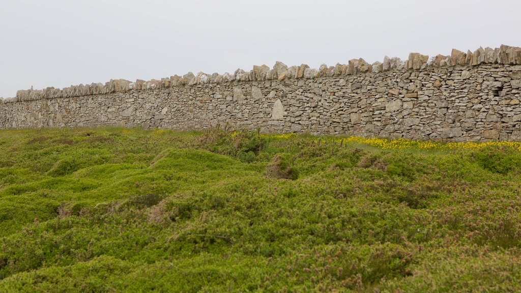 Great Orme showing farmland