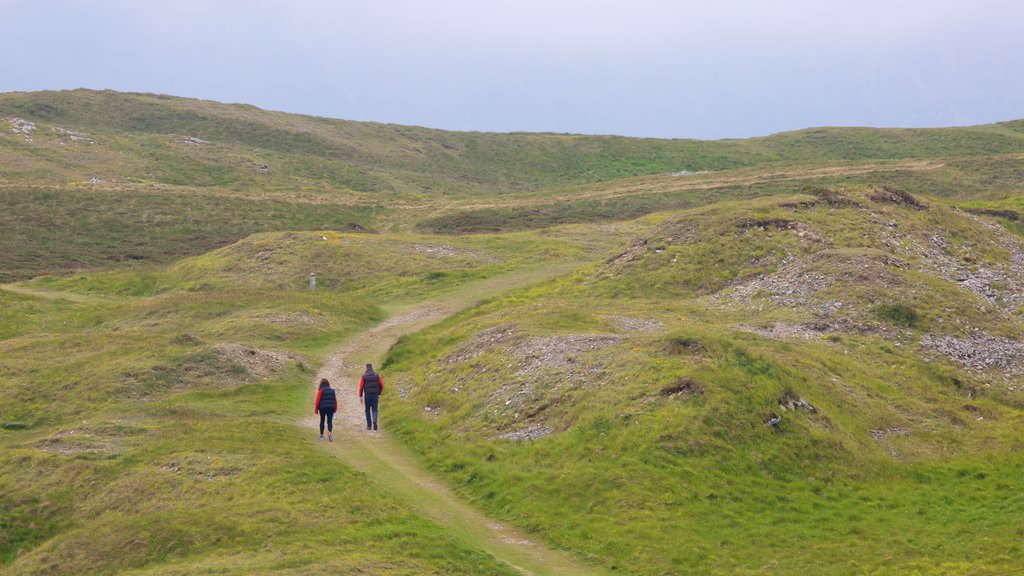 Great Orme mostrando tierras de cultivo y senderismo o caminata y también un pequeño grupo de personas