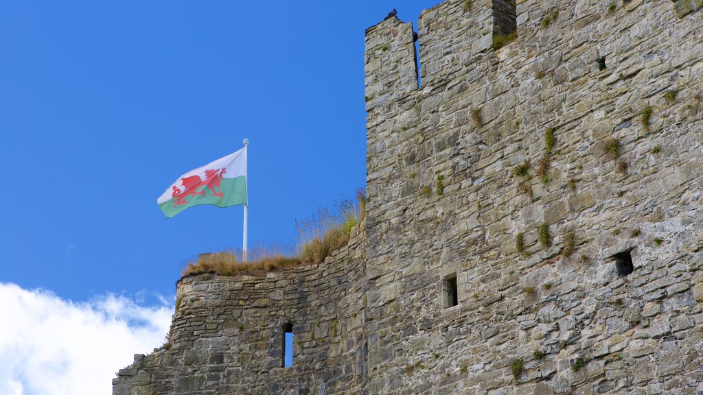 Castelo de Oystermouth mostrando um pequeno castelo ou palácio e elementos de patrimônio