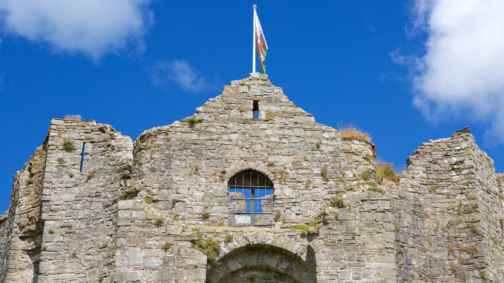 Oystermouth Castle featuring a ruin, heritage elements and a castle