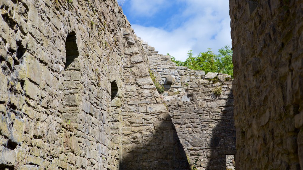 Oystermouth Castle featuring a castle, heritage elements and a ruin