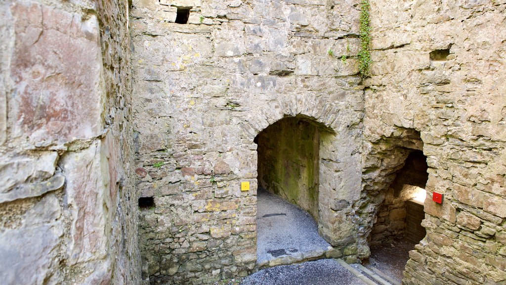 Oystermouth Castle mostrando elementos patrimoniales, castillo o palacio y ruinas de un edificio