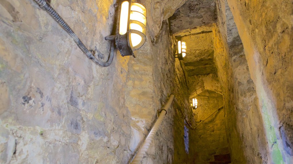 Oystermouth Castle which includes heritage elements, a castle and interior views