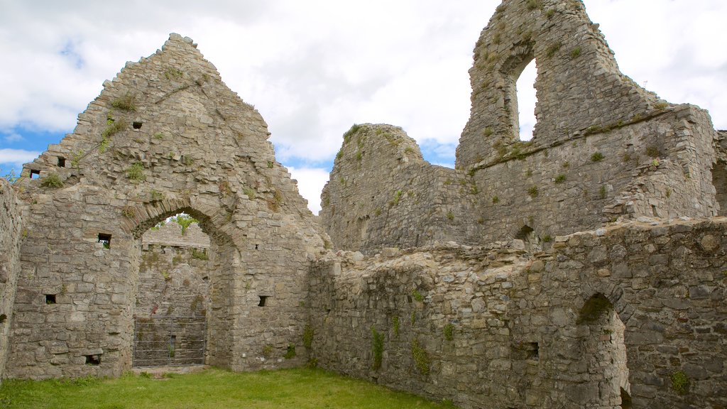 Oystermouth Castle que incluye elementos del patrimonio, una ruina y castillo o palacio