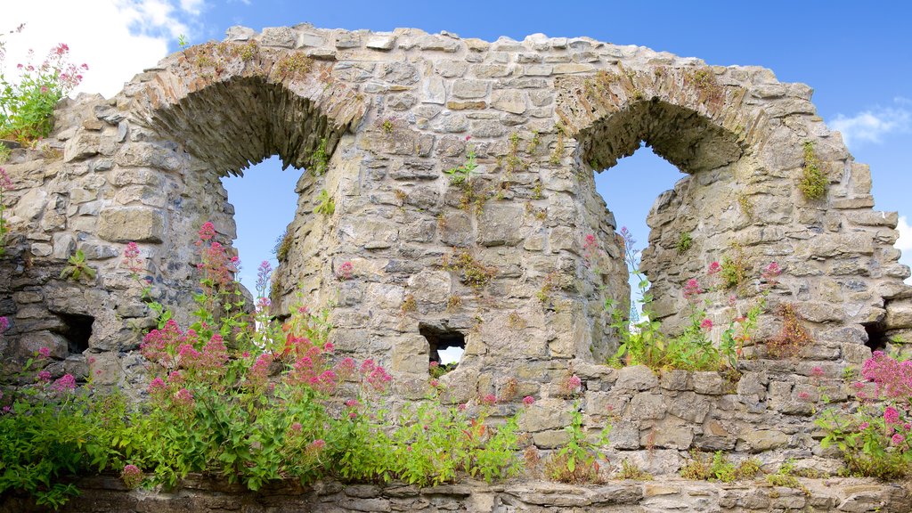 Oystermouth Castle which includes wild flowers, château or palace and heritage elements