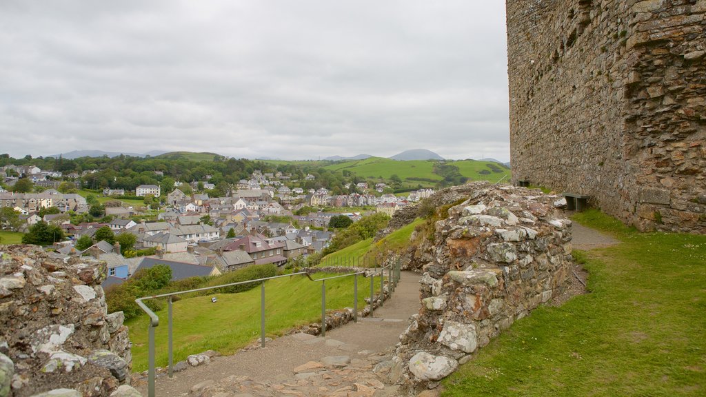 Castillo de Criccieth que incluye una pequeña ciudad o pueblo y elementos del patrimonio