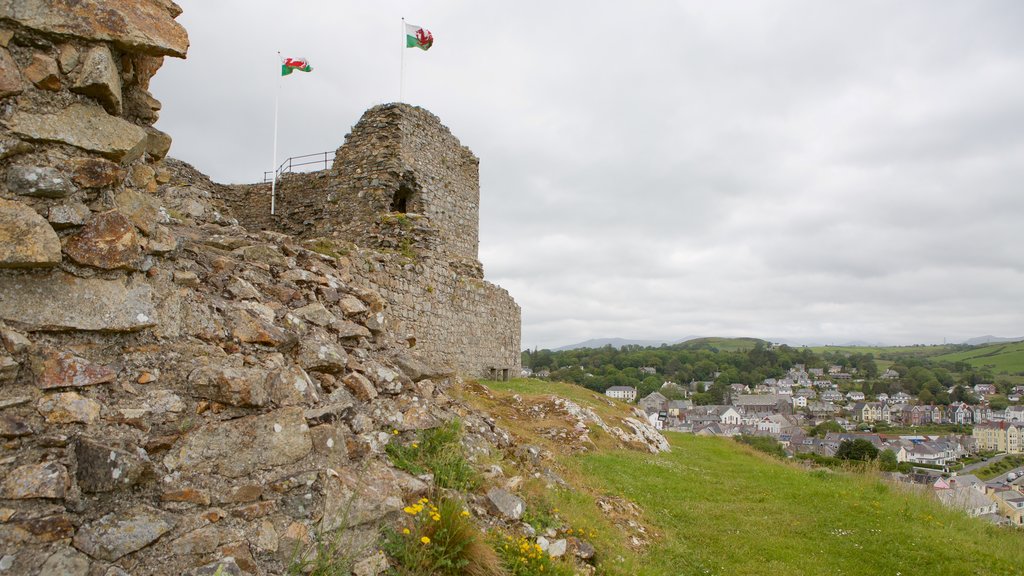 Criccieth Castle featuring château or palace, a ruin and heritage elements