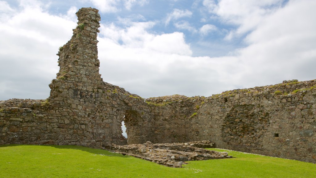 Criccieth Castle showing heritage elements, building ruins and château or palace