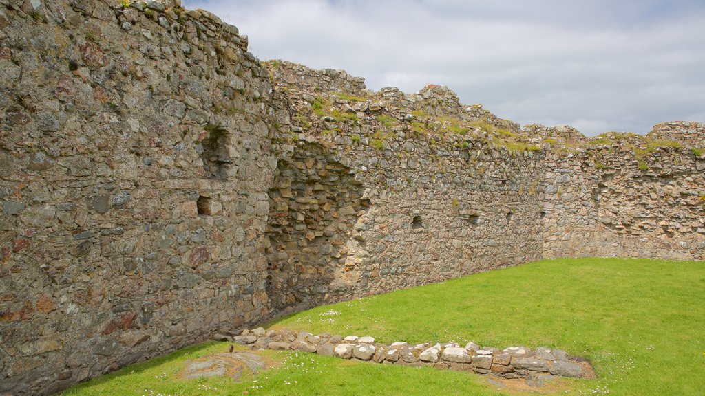 Castillo de Criccieth que incluye un castillo, elementos del patrimonio y ruinas de edificios