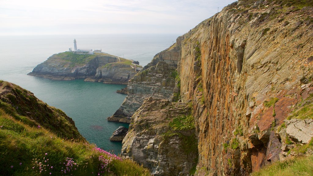 Ngọn hải đăng South Stack cho thấy cảnh bờ biển, hẻm núi và bờ biển lởm chởm