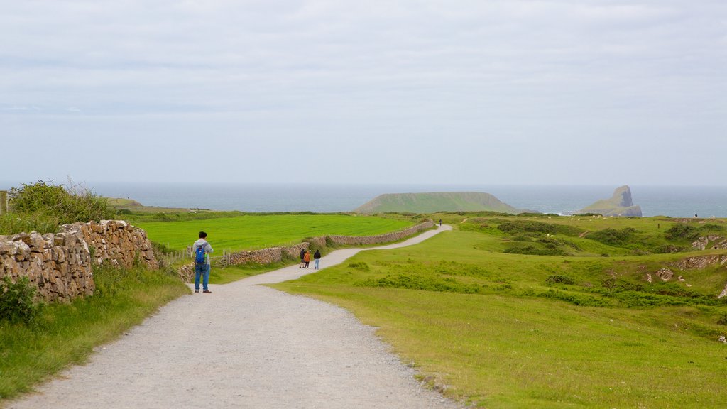 Rhossili Beach showing farmland, hiking or walking and general coastal views