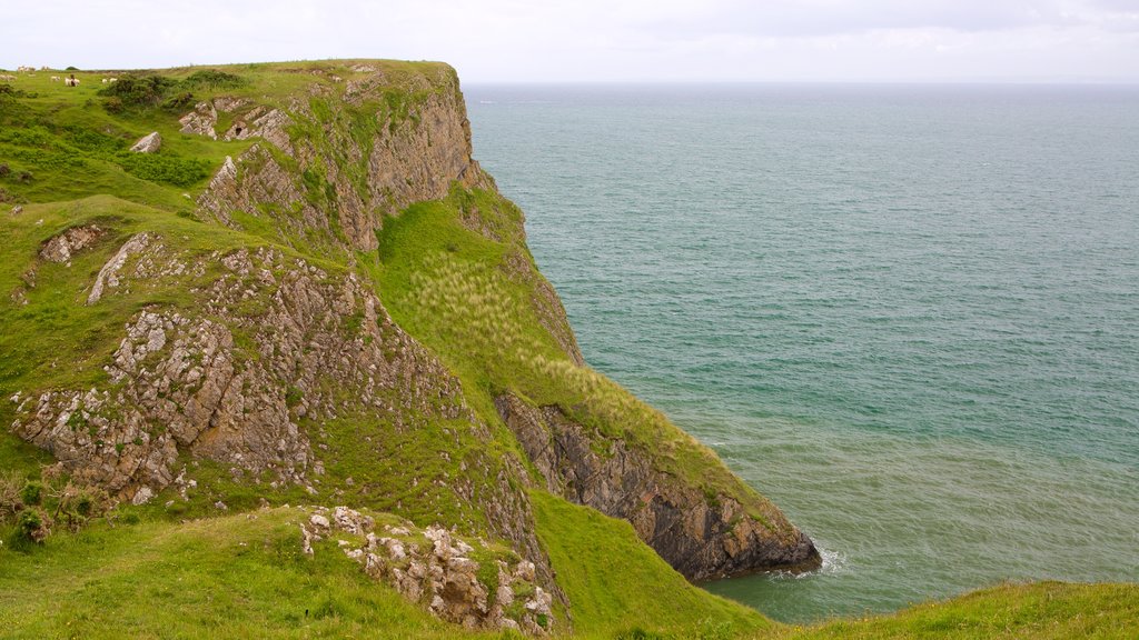 Rhossili Beach featuring general coastal views and mountains