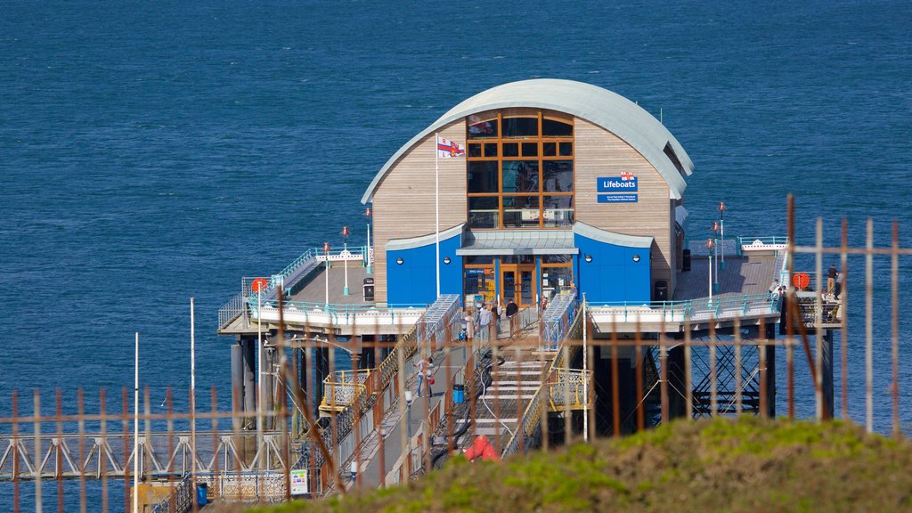 Mumbles Pier showing general coastal views