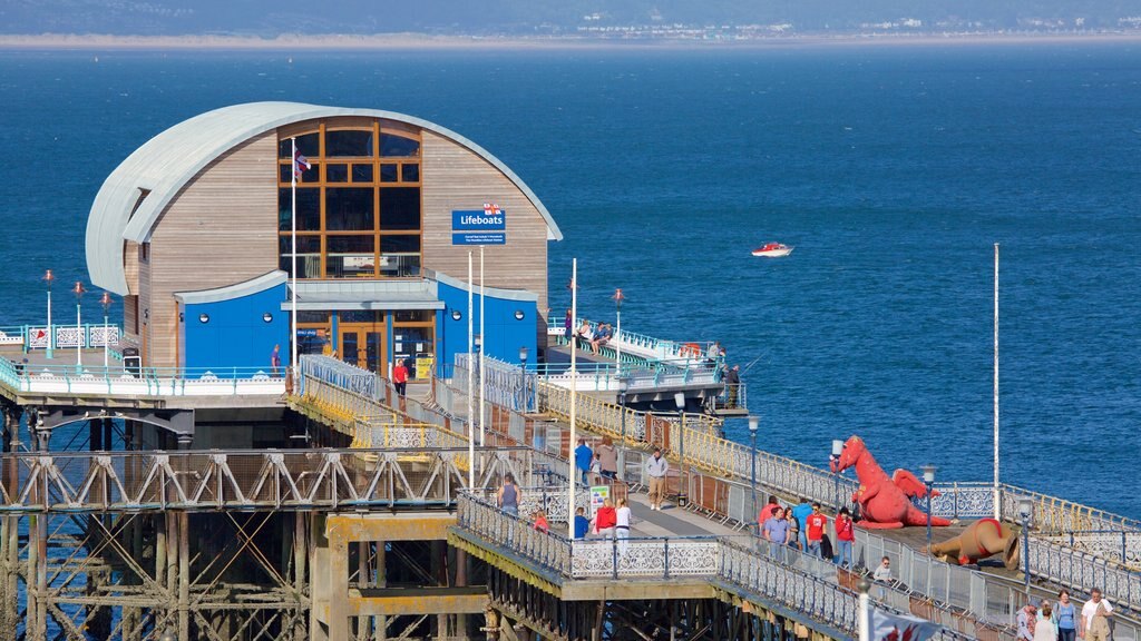 Mumbles Pier featuring general coastal views as well as a large group of people