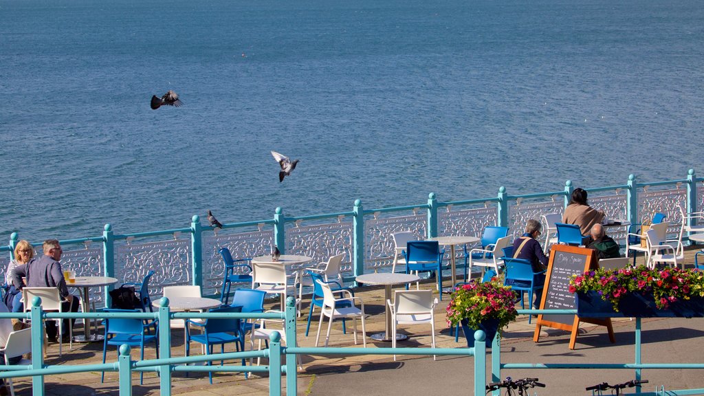 Mumbles Pier showing café scenes, dining out and general coastal views