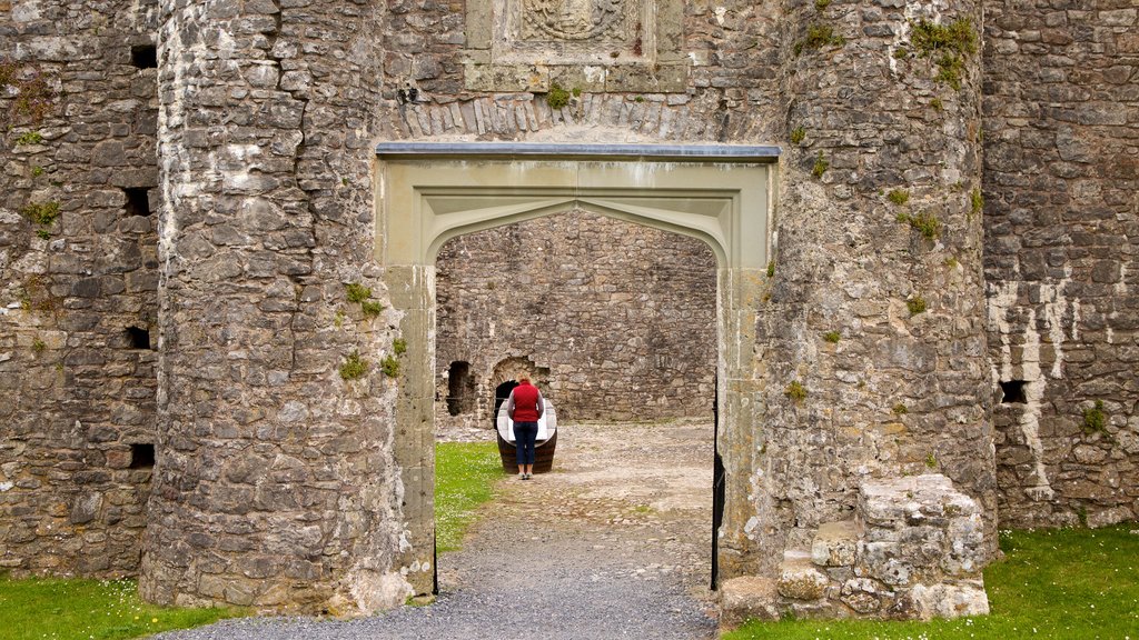 Oxwich Castle que incluye una ruina, un castillo y elementos patrimoniales