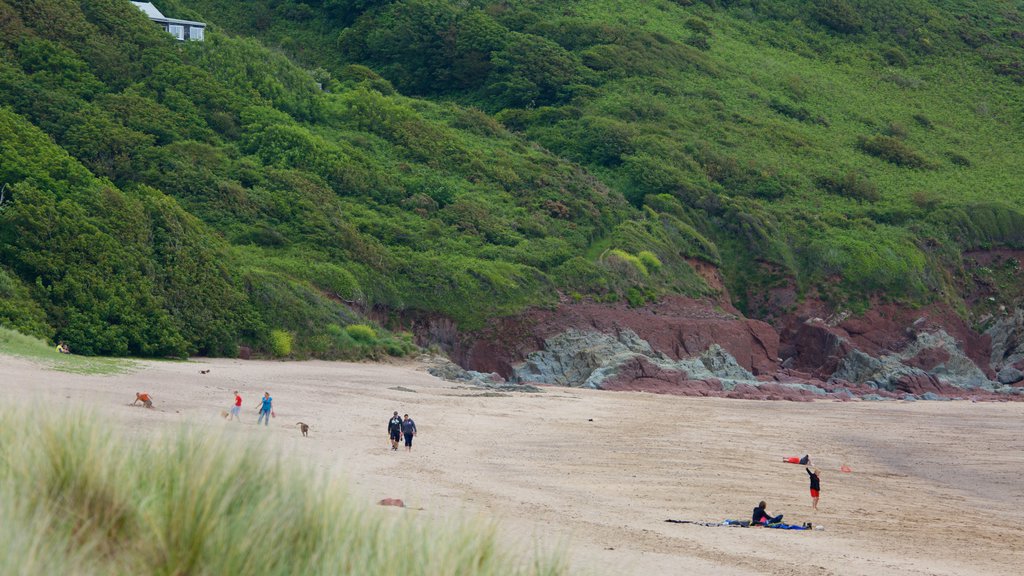 Freshwater East Beach featuring a beach