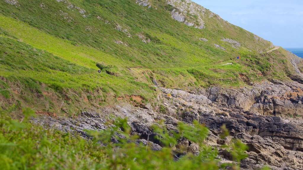 Caswell Bay Beach featuring tranquil scenes