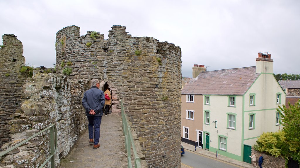 Conwy showing a castle and heritage elements as well as a small group of people