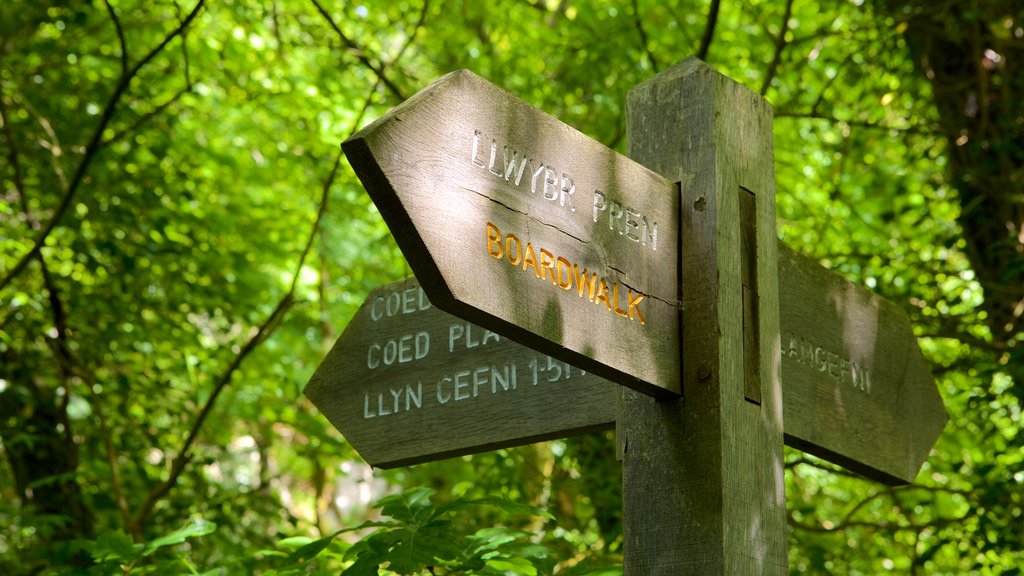 Llangefni which includes signage