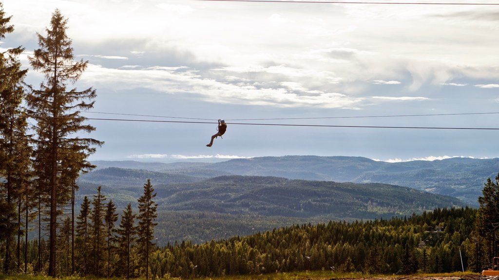 Oslo Winter Park showing zip lining and forest scenes as well as an individual male