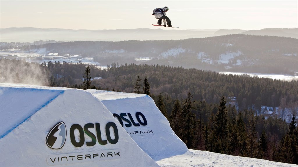 Parque de invierno Oslo Vinterpark mostrando nieve y snowboard y también una mujer