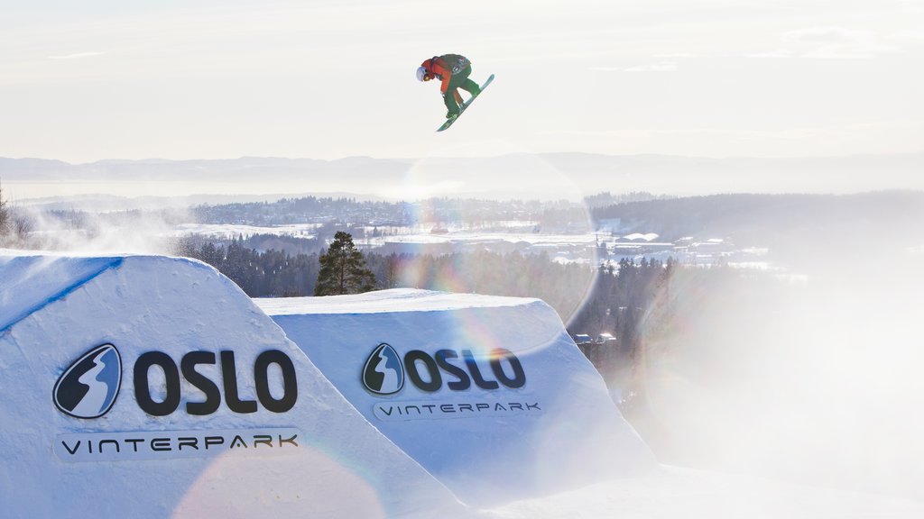 Parque invernal de Oslo ofreciendo nieve y snowboard y también un hombre