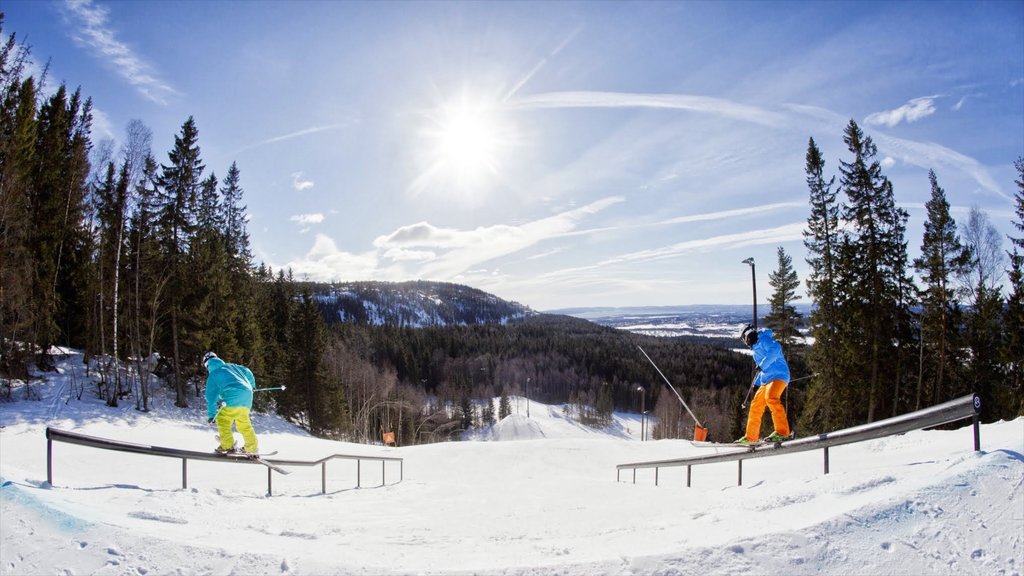 Oslo Winter Park which includes forest scenes, snow skiing and snow