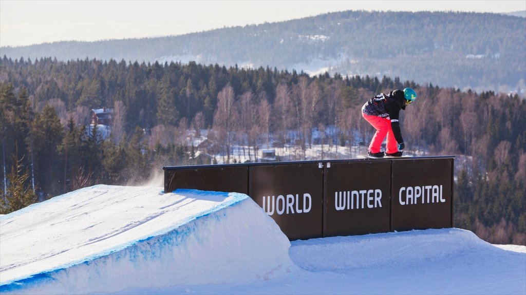 Oslo Vinterpark mostrando snowboard e neve assim como uma mulher sozinha