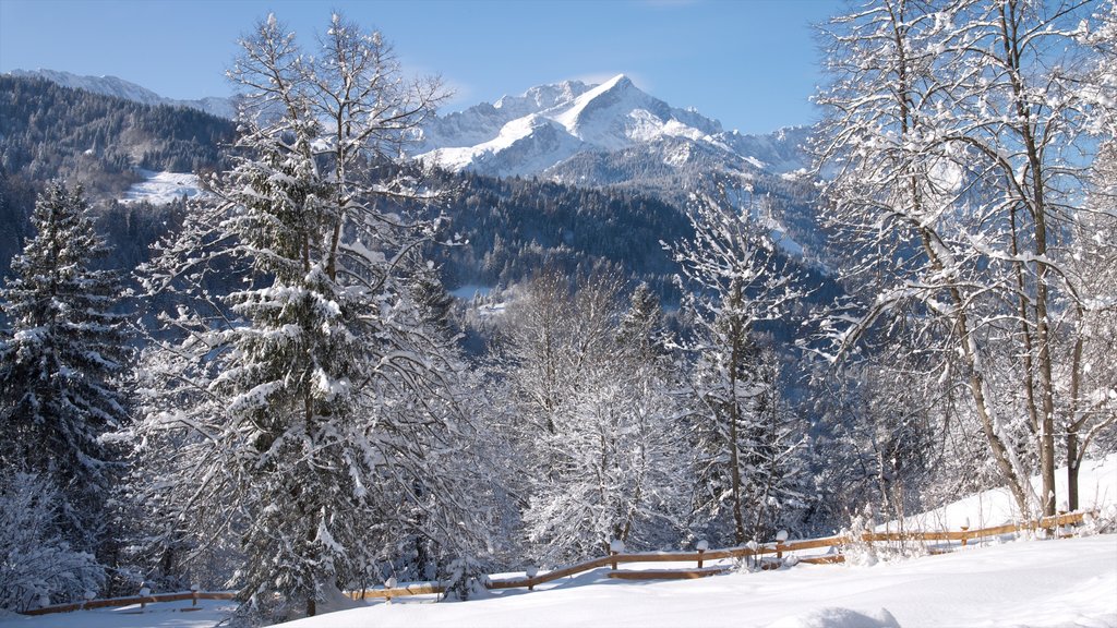 Estación de esquí Garmisch-Partenkirchen ofreciendo escenas forestales y nieve