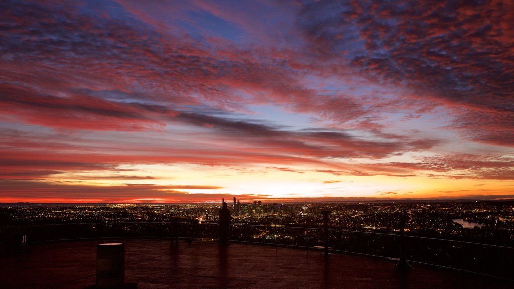 Mt. Coot-Tha que incluye escenas de noche, una ciudad y distrito central de negocios