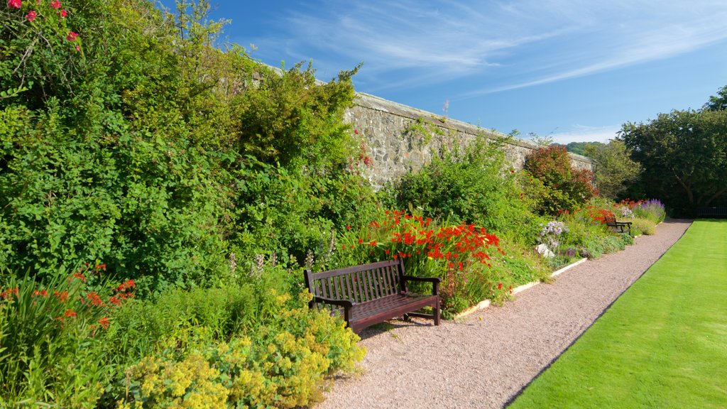 Aberdour Castle showing a garden