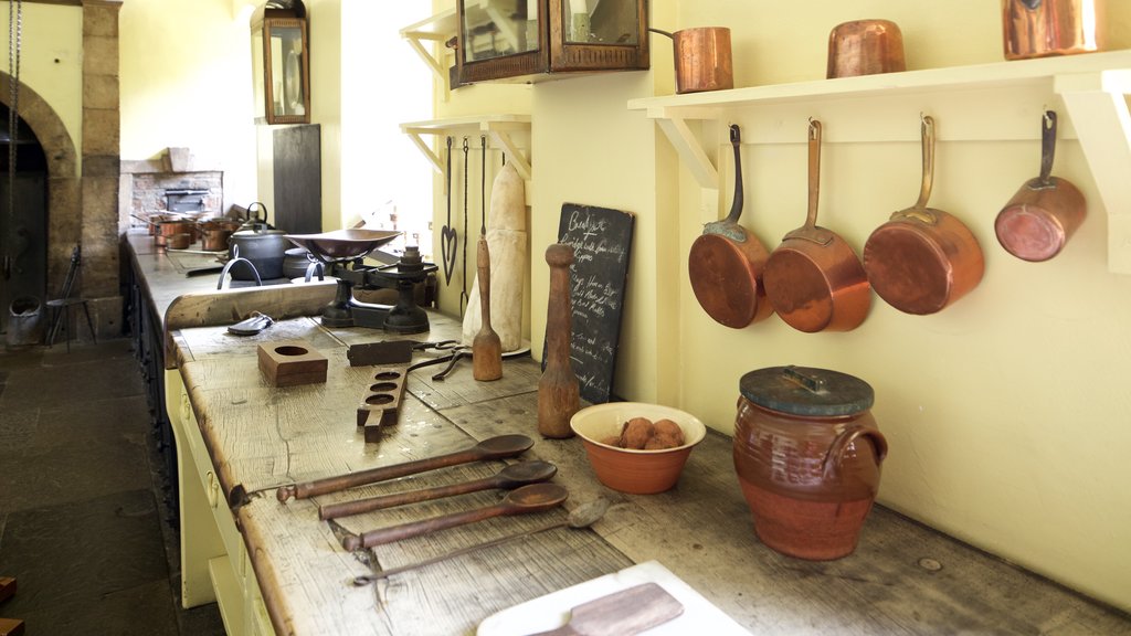 Callendar House showing heritage elements and interior views