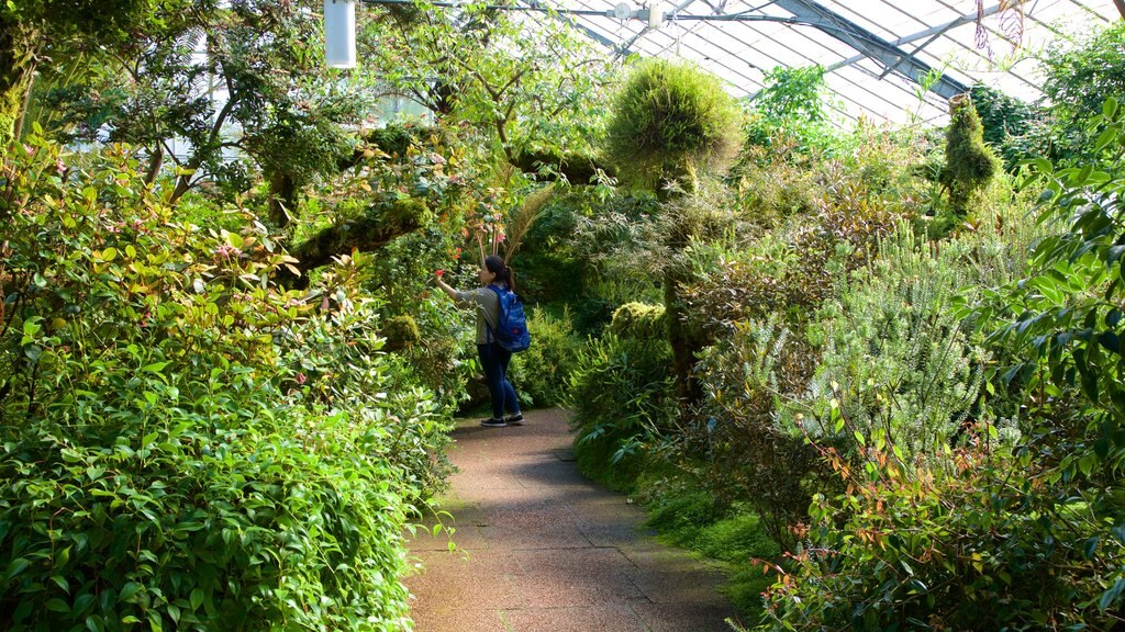 Royal Botanic Garden showing interior views, a garden and tropical scenes