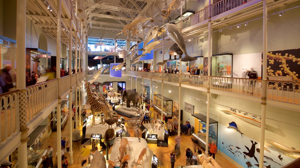 National Museum of Scotland showing interior views