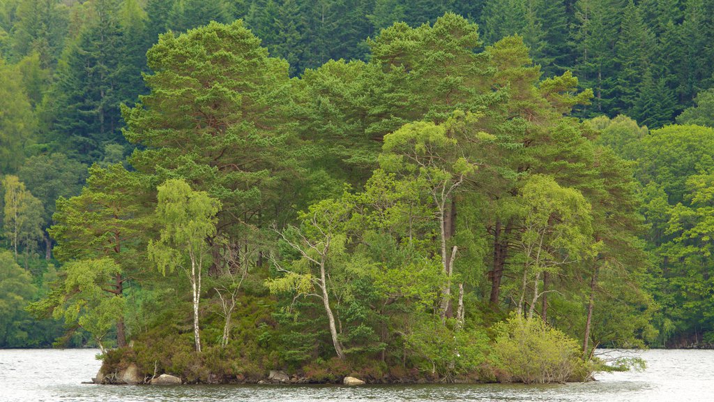 Lago Katrine ofreciendo imágenes de bosques, un lago o espejo de agua y imágenes de una isla