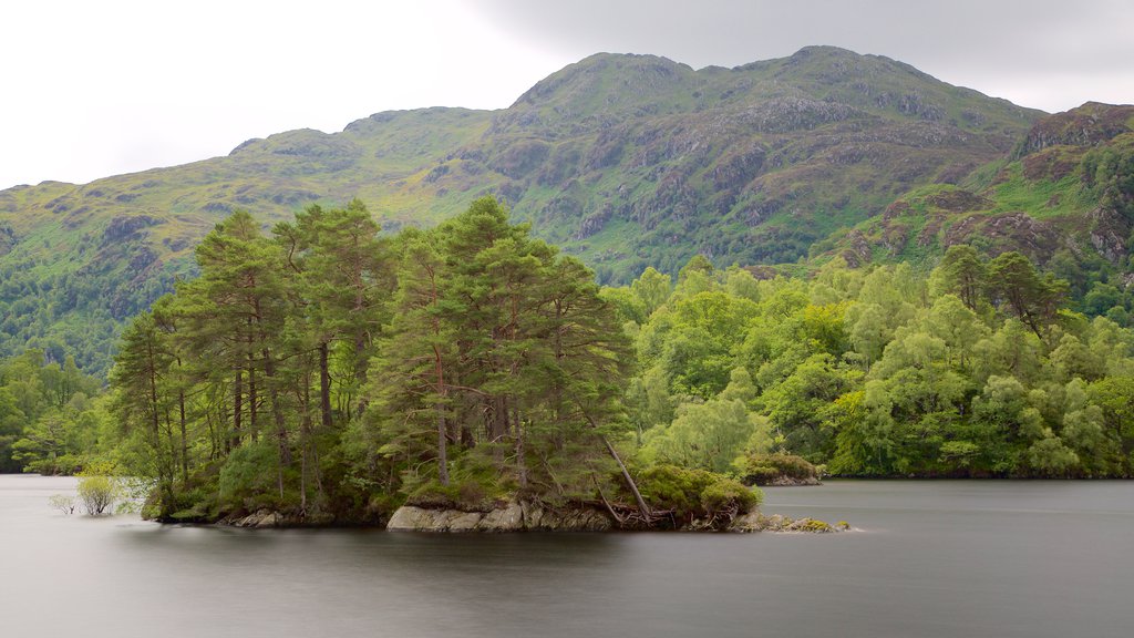 Loch Katrine which includes forest scenes, island images and a lake or waterhole