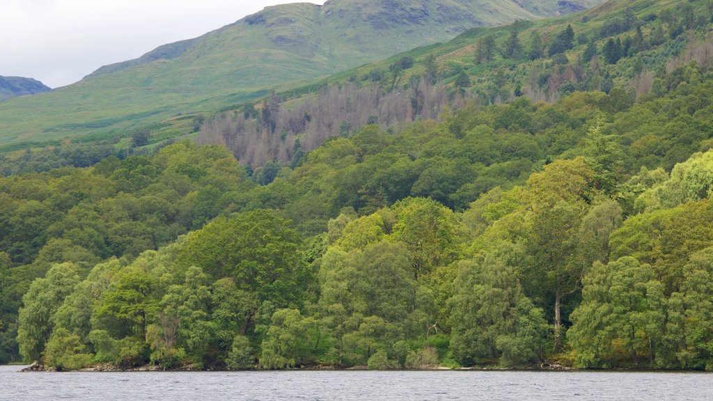 Loch Katrine som inkluderer skog