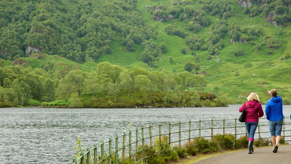 Lago Katrine ofreciendo escenas forestales y un lago o abrevadero y también un pequeño grupo de personas