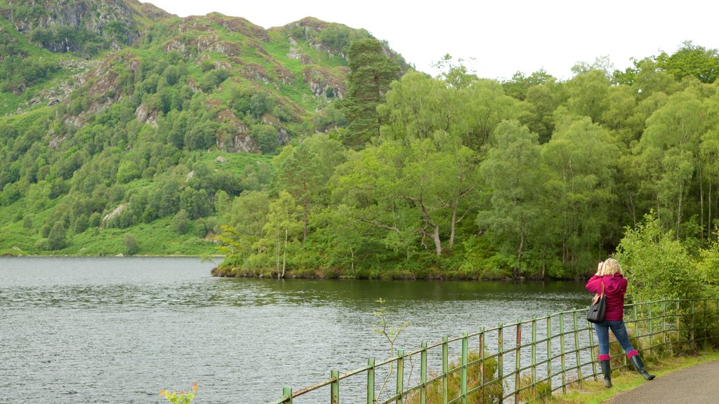 Lago Katrine mostrando un lago o espejo de agua y imágenes de bosques y también una mujer