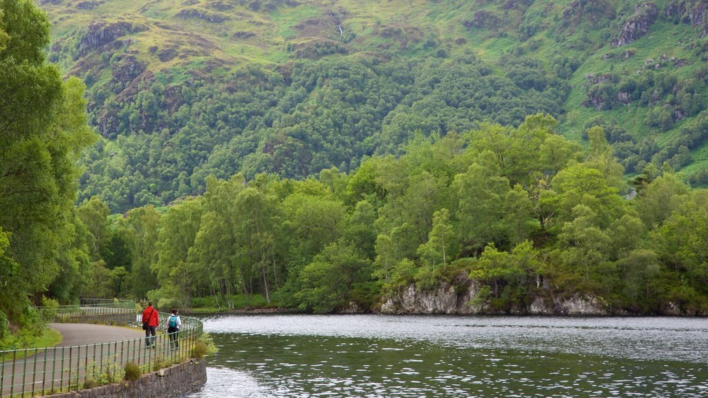 Loch Katrine caracterizando florestas e um lago ou charco