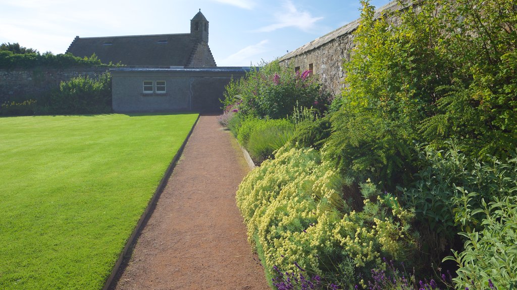 Aberdour Castle featuring a garden