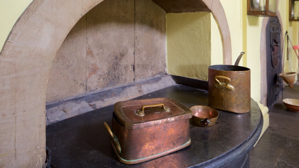 Callendar House showing interior views and heritage elements