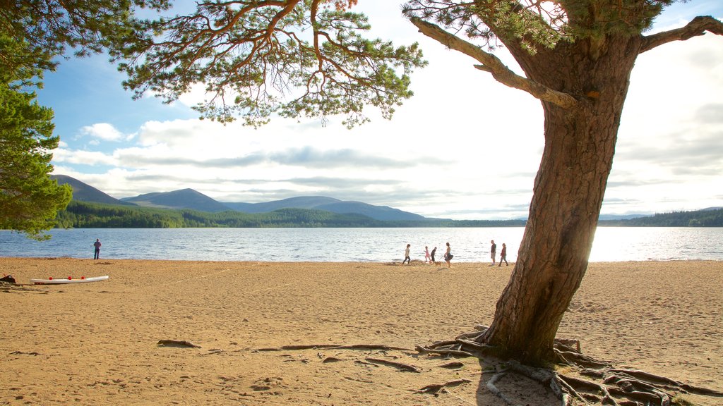 Loch Morlich showing a sandy beach