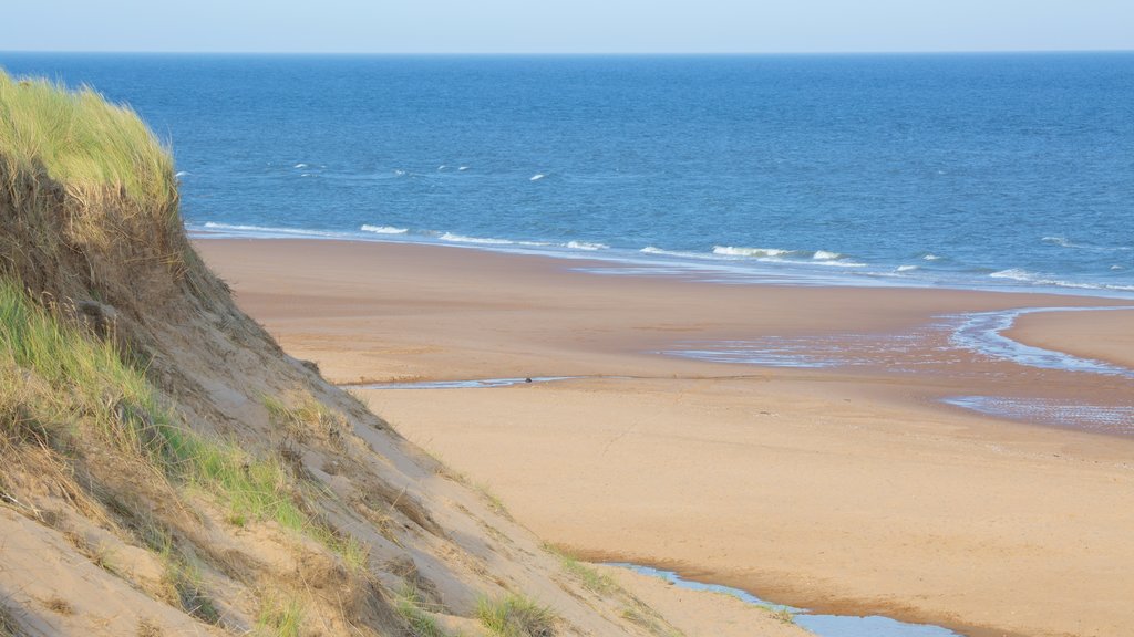 Balmedie Country Park showing a beach and general coastal views